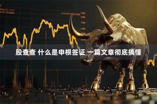 股查查 什么是申根签证 一篇文章彻底搞懂
