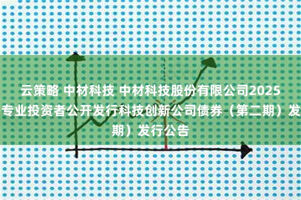 云策略 中材科技 中材科技股份有限公司2025年面向专业投资者公开发行科技创新公司债券（第二期）发行公告