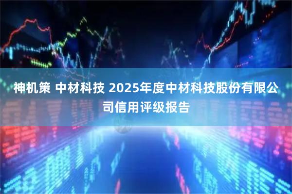 神机策 中材科技 2025年度中材科技股份有限公司信用评级报告