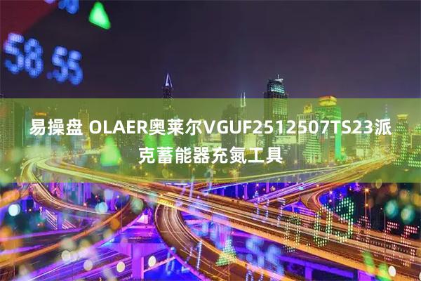 易操盘 OLAER奥莱尔VGUF2512507TS23派克蓄能器充氮工具